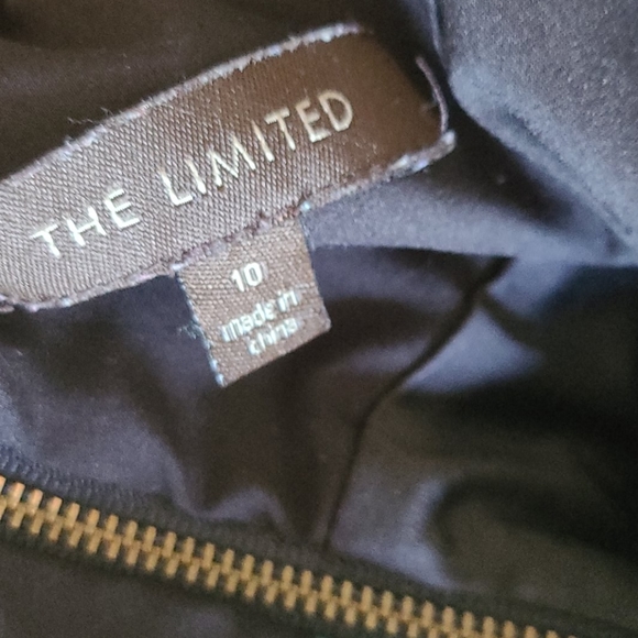 The Limited Dress - Picture 3 of 4